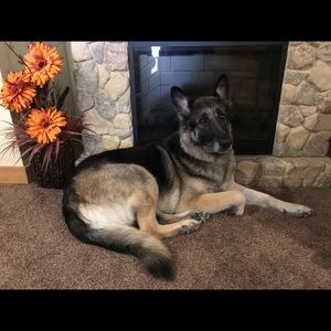 Meet your Posher, Lori